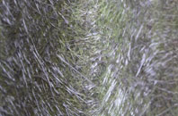 Barford St John fibreglass roof work